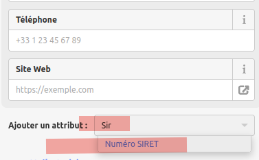 Ajouter un attribut, l'attribut numéro SIRET apparait dans la suggestion